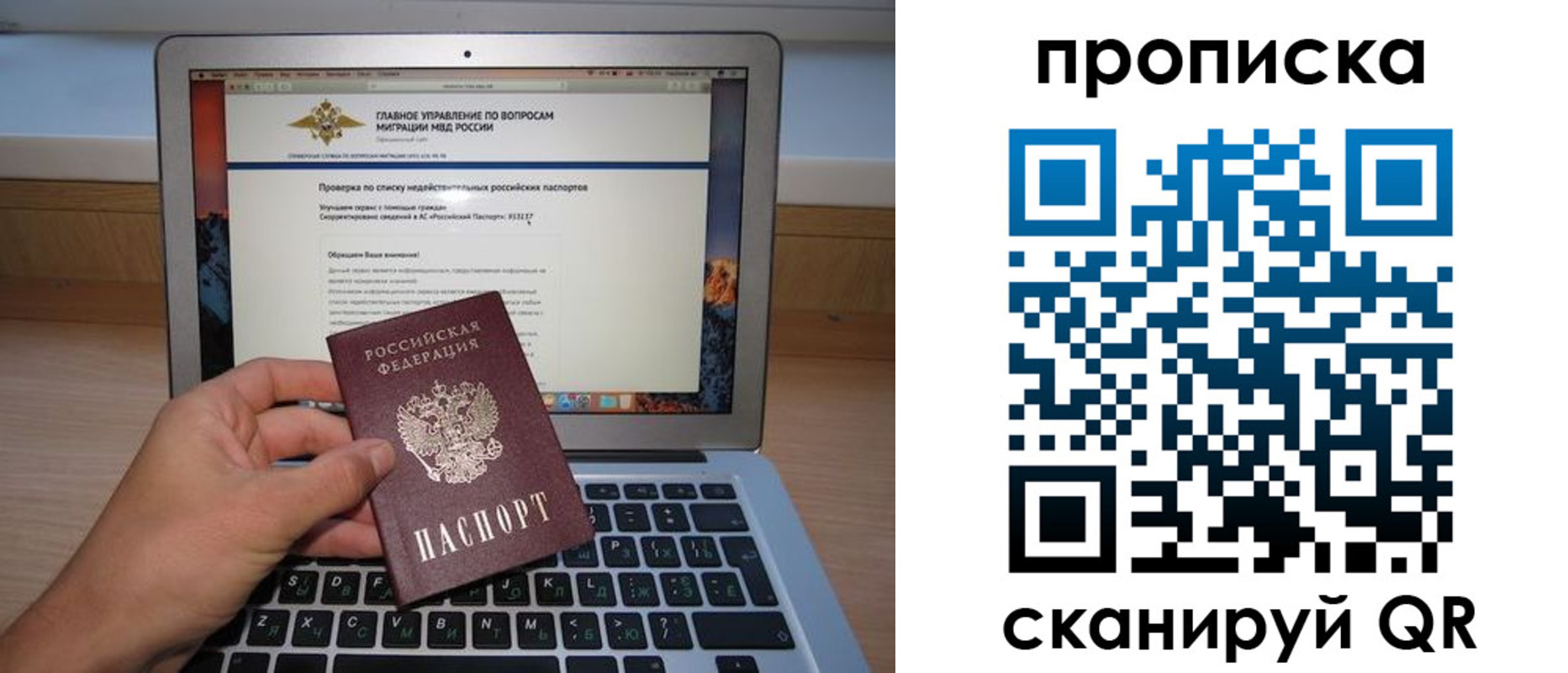 прописка поиск в Нововоронеже